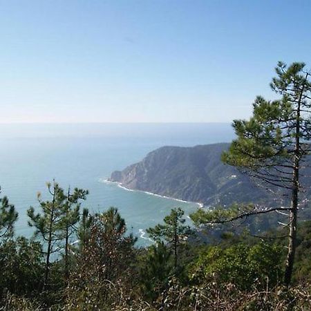 Trekking And Relax - Maremonti - Homy 5 Terre Apartment Vernazza Exterior foto