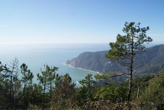Trekking And Relax - Maremonti - Homy 5 Terre Apartment Vernazza Exterior foto