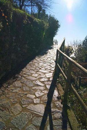 Trekking And Relax - Maremonti - Homy 5 Terre Apartment Vernazza Exterior foto
