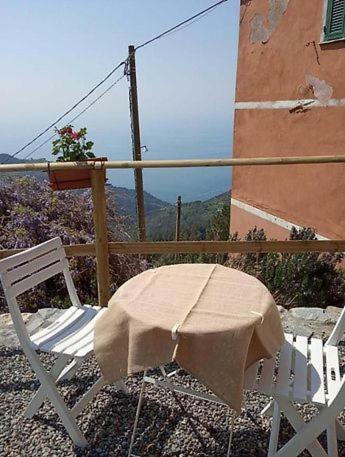 Trekking And Relax - Maremonti - Homy 5 Terre Apartment Vernazza Exterior foto