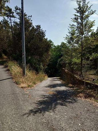 Trekking And Relax - Maremonti - Homy 5 Terre Apartment Vernazza Exterior foto